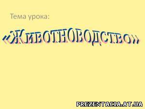 Презентація на тему - Тваринництво