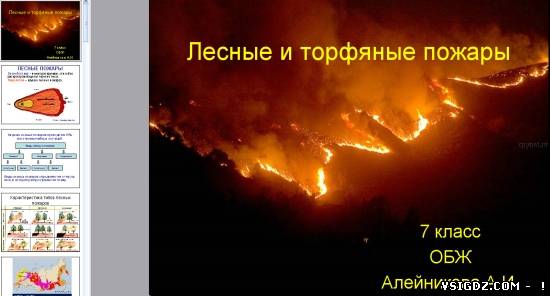 Презентація на тему "Лісові й торф'яні пожежі"