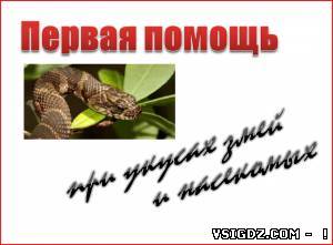 Презентація Перша допомога при укусах змій і комах
