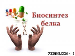 Презентація на тему - БІОСИНТЕЗ БІЛКА
