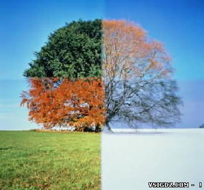 SEASONS Презентація