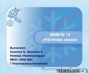 Презентація Рослини взимку
