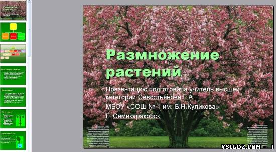 Презентація на тему "Розмноження рослин"