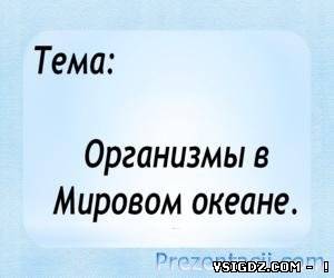 Презентація Організми в Світовому океані