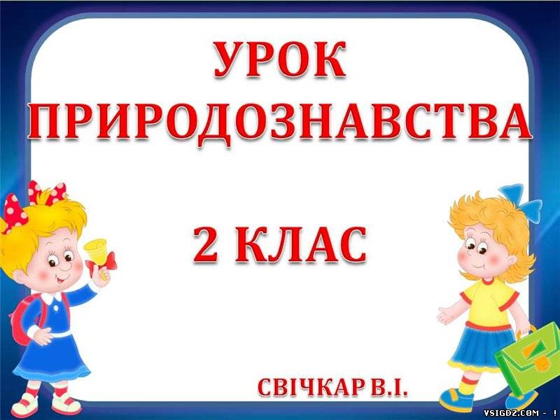Птахи навесні