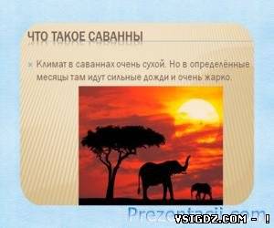 ПРЕЗЕНТАЦІЯ савани