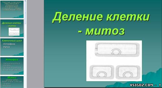 Презентація на тему "Поділ клітини - мітоз"