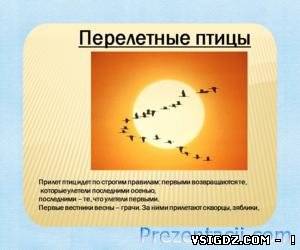 ПРЕЗЕНТАЦІЯ перелітні птахи