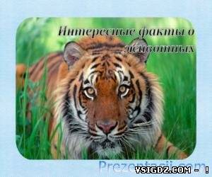 ПРЕЗЕНТАЦІЯ ЦІКАВІ ФАКТИ ПРО ТВАРИН