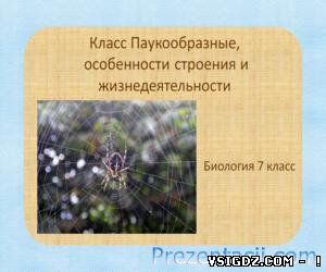 Презентація Клас павукоподібних. Будова і Життєдіяльність (7 Клас)