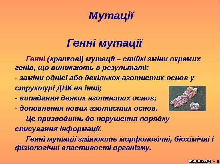 Презентація "Генні мутації"