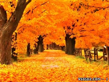 Презентація Autumn