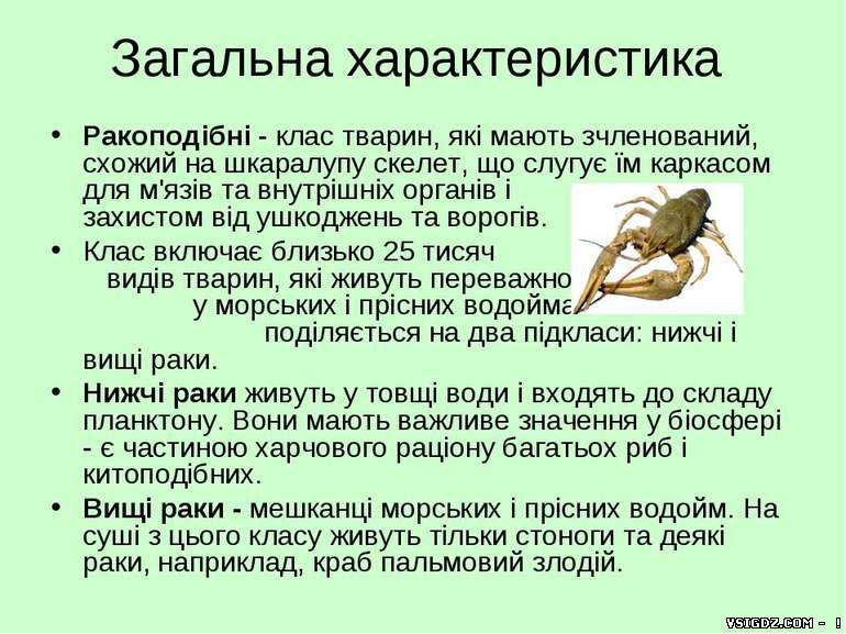 Презентація "Ракоподібні"