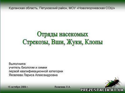 Презентація на тему - Загони комах (Бабки, Воші, Жуки і Клопи)