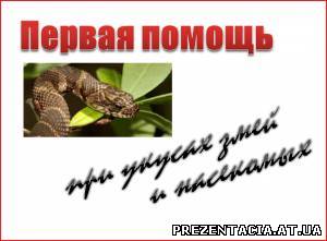 Презентація Перша допомога при укусах змій і комах