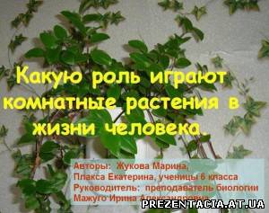 Презентація на тему - КІМНАТНІ РОСЛИНИ