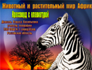 Презентація на тему Тваринний і рослинний світ Африки.